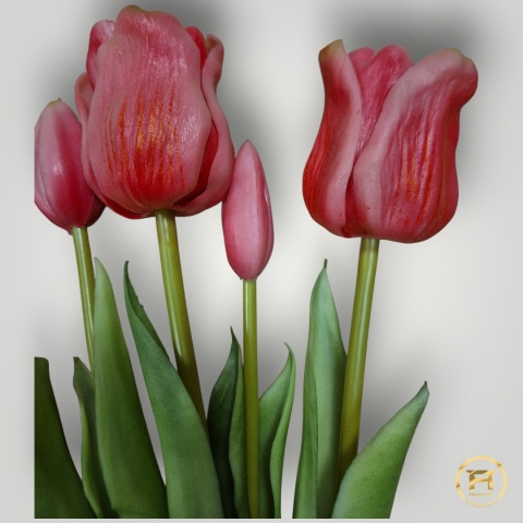 KK-203-5 Tulipan Gumowy 12szt