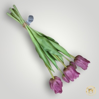 KK-203-3 Tulipan Gumowy 60szt