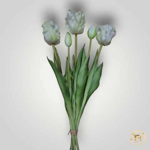 KK-203-4 Tulipan Gumowy 60szt