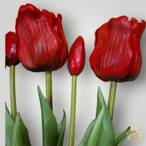 KK-203-6 Tulipan Gumowy 60szt