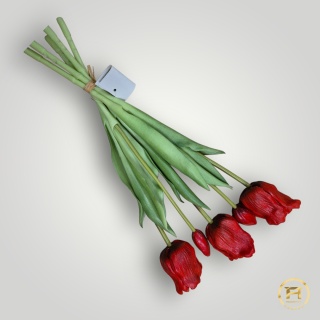 KK-203-6 Tulipan Gumowy 60szt