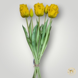 KK-203-1 Tulipan Gumowy 12szt