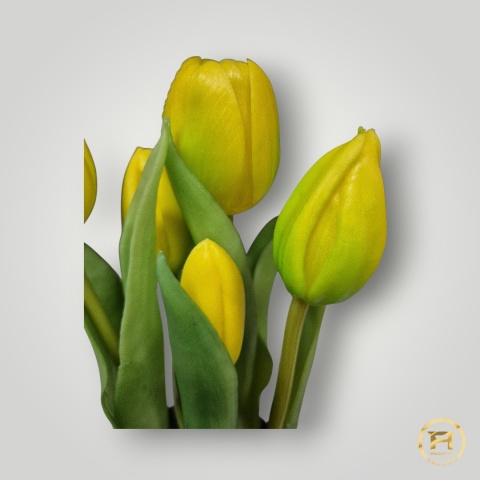 KK104-1 Tulipan Gumowy 108szt