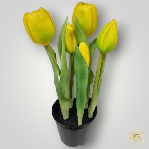 KK104-1 Tulipan Gumowy 108szt