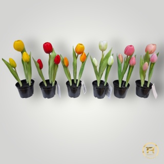 KK105-MIX Tulipan Gumowy 36szt