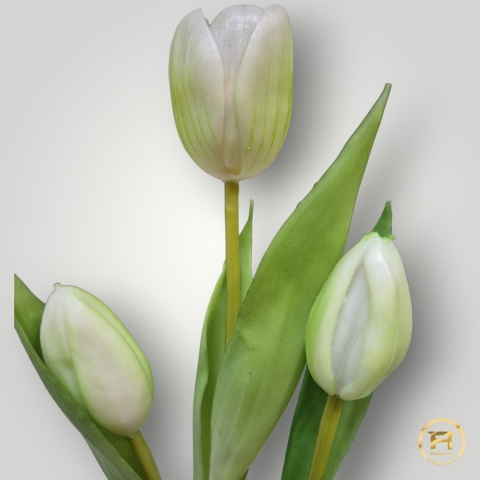 KK105-MIX Tulipan Gumowy 36szt