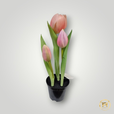 KK105-MIX Tulipan Gumowy 36szt
