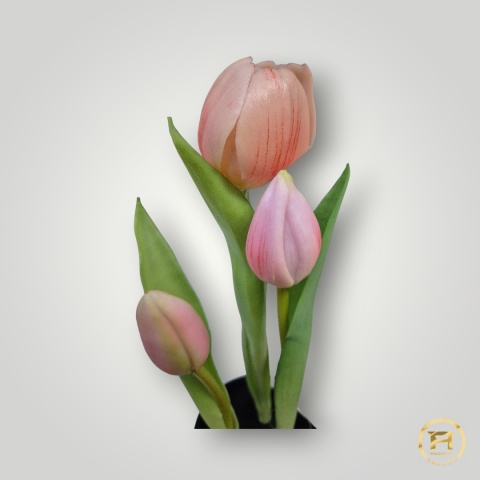 KK105-MIX Tulipan Gumowy 36szt