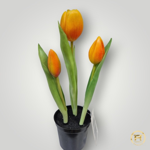 KK105-MIX Tulipan Gumowy 36szt