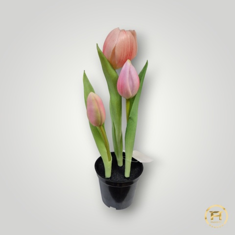 KK105-MIX Tulipan Gumowy 36szt