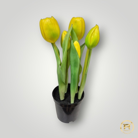 KK104-mix Tulipan Gumowy 36szt