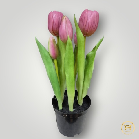 KK104-mix Tulipan Gumowy 36szt