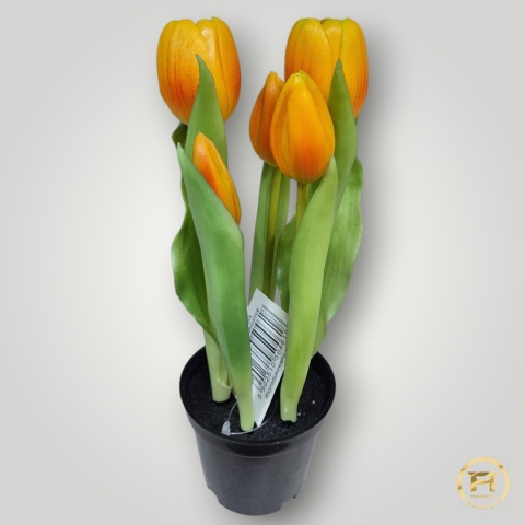 KK104-mix Tulipan Gumowy 36szt