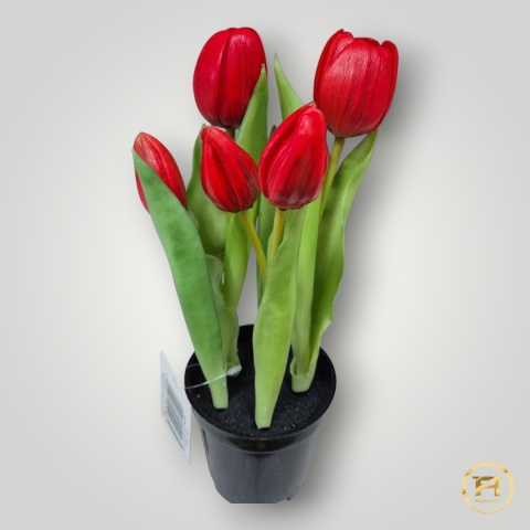 KK104-2 Tulipan Gumowy 108szt