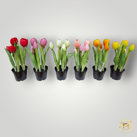 KK104-mix Tulipan Gumowy 108szt