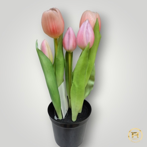 KK104-mix Tulipan Gumowy 108szt