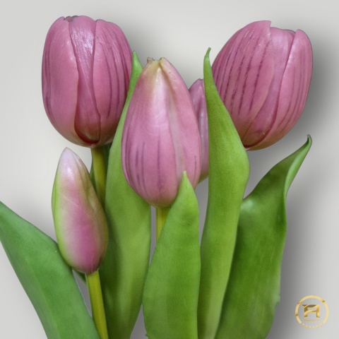 KK104-mix Tulipan Gumowy 108szt