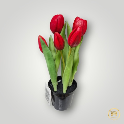 KK104-mix Tulipan Gumowy 108szt