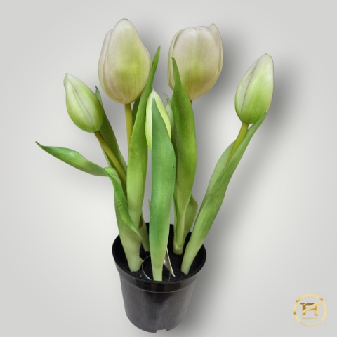 KK104-mix Tulipan Gumowy 108szt