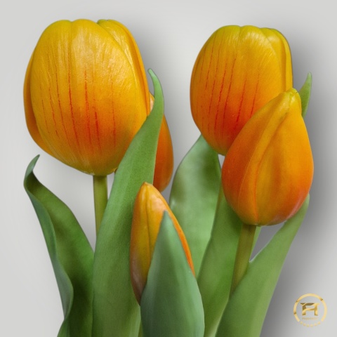 KK104-mix Tulipan Gumowy 108szt