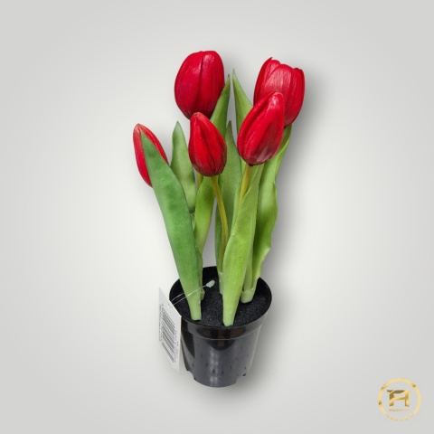 KK104-mix Tulipan Gumowy 108szt