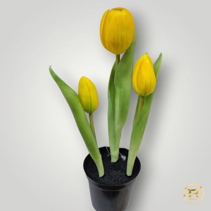 KK105-1 Tulipan Gumowy 108szt