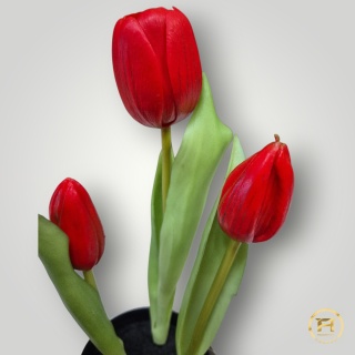 KK105-2 Tulipan Gumowy 36szt