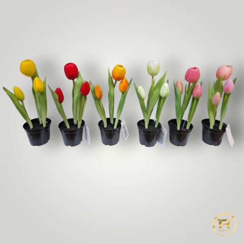 KK105-MIX Tulipan Gumowy 108szt