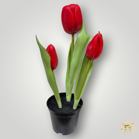 KK105-MIX Tulipan Gumowy 108szt