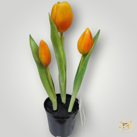KK105-MIX Tulipan Gumowy 108szt