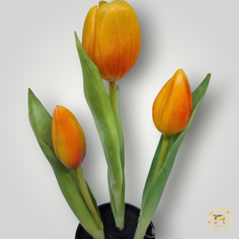 KK105-MIX Tulipan Gumowy 108szt