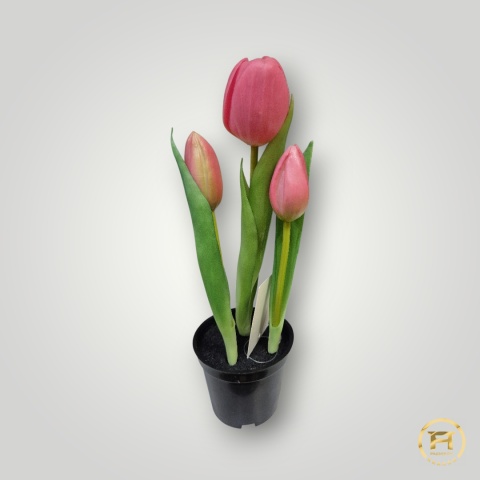 KK105-MIX Tulipan Gumowy 108szt