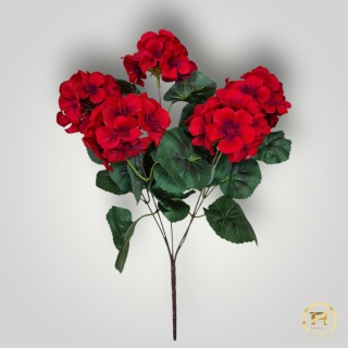 KMS-0240 Bukiet Pelargoni 288szt