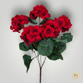 KMS-0240 Bukiet Pelargoni 288szt