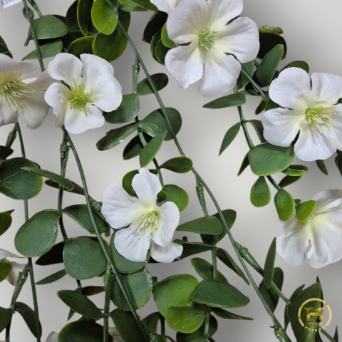 KMS-0241 Petunia wisząca 24szt