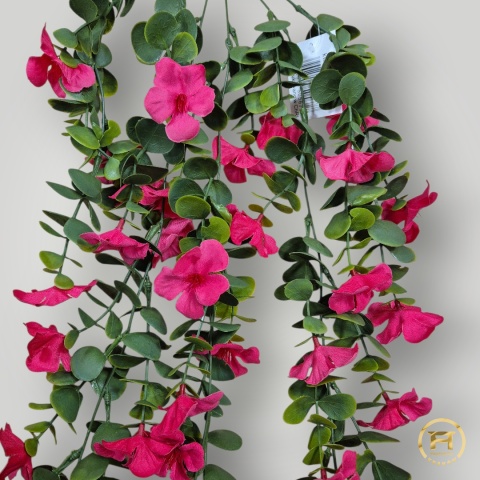 KMS-0241 Petunia wisząca 24szt