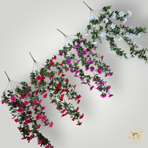 KMS-0241 Petunia wisząca 24szt