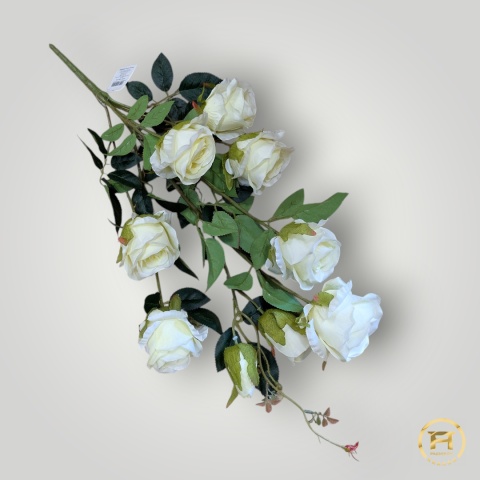 GKR5682 Bukiet Róż 12szt