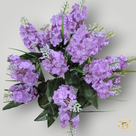 XR8085 Bukiet Bzu 24szt