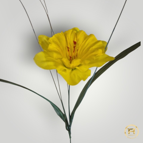 TM0101 żonkil pojedyńczy z łodygą 1440 szt