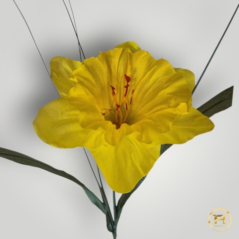 TM0101 żonkil pojedyńczy z łodygą 1440 szt