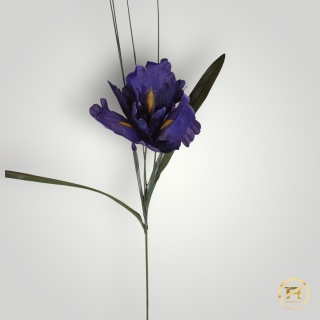 TM0102 Irys z łodygą 1440szt