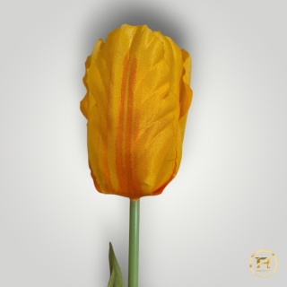 DMS-0190 Tulipan mix 60szt