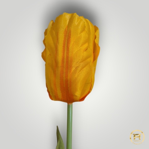 DMS-0190 Tulipan mix 60szt