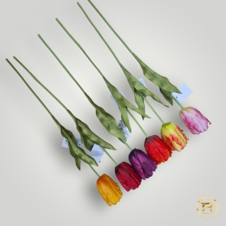 DMS-0190 Tulipan mix 480szt