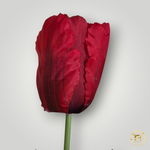 DMS-0190 Tulipan mix 480szt