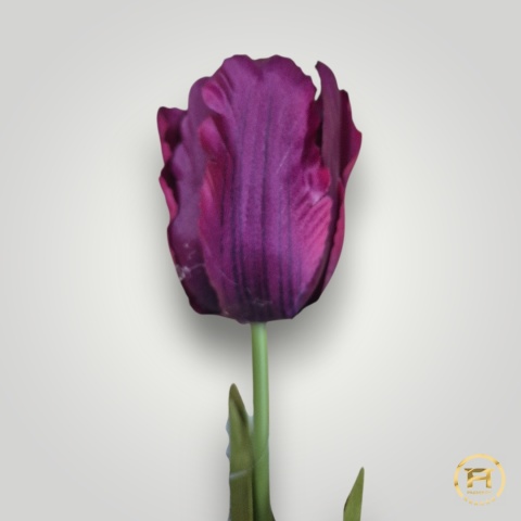 DMS-0190 Tulipan mix 480szt