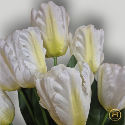 DMS-0200 Bukiet Tulipan mix 24szt