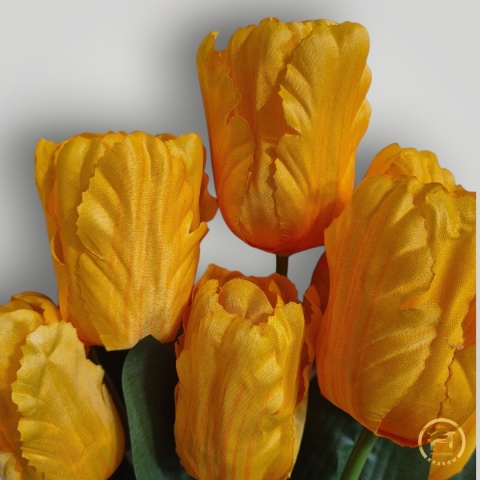 DMS-0200 Bukiet Tulipan mix 144szt