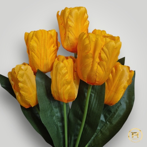 DMS-0200 Bukiet Tulipan mix 144szt